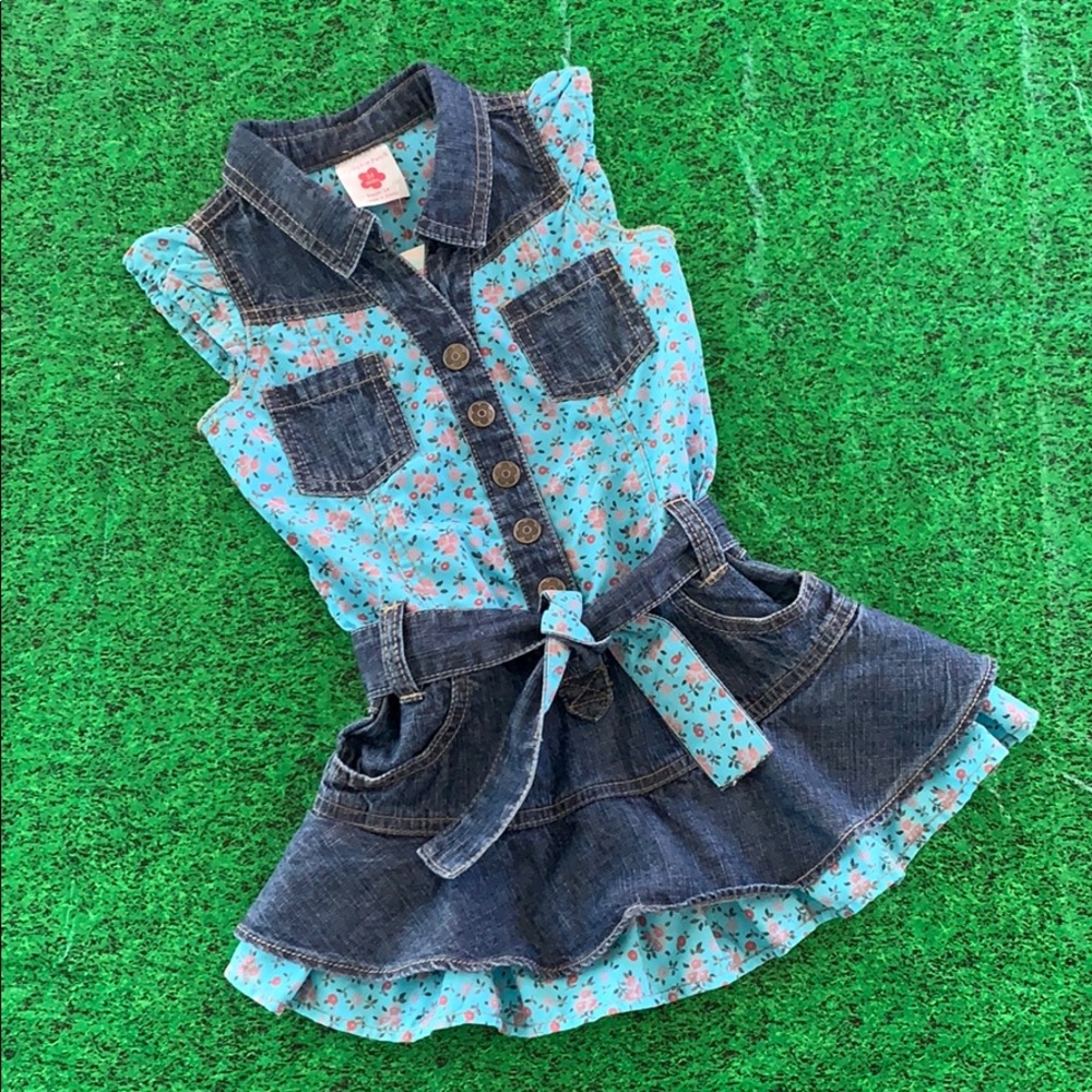 NWT Pumpkin Patch denim floral dress toddler